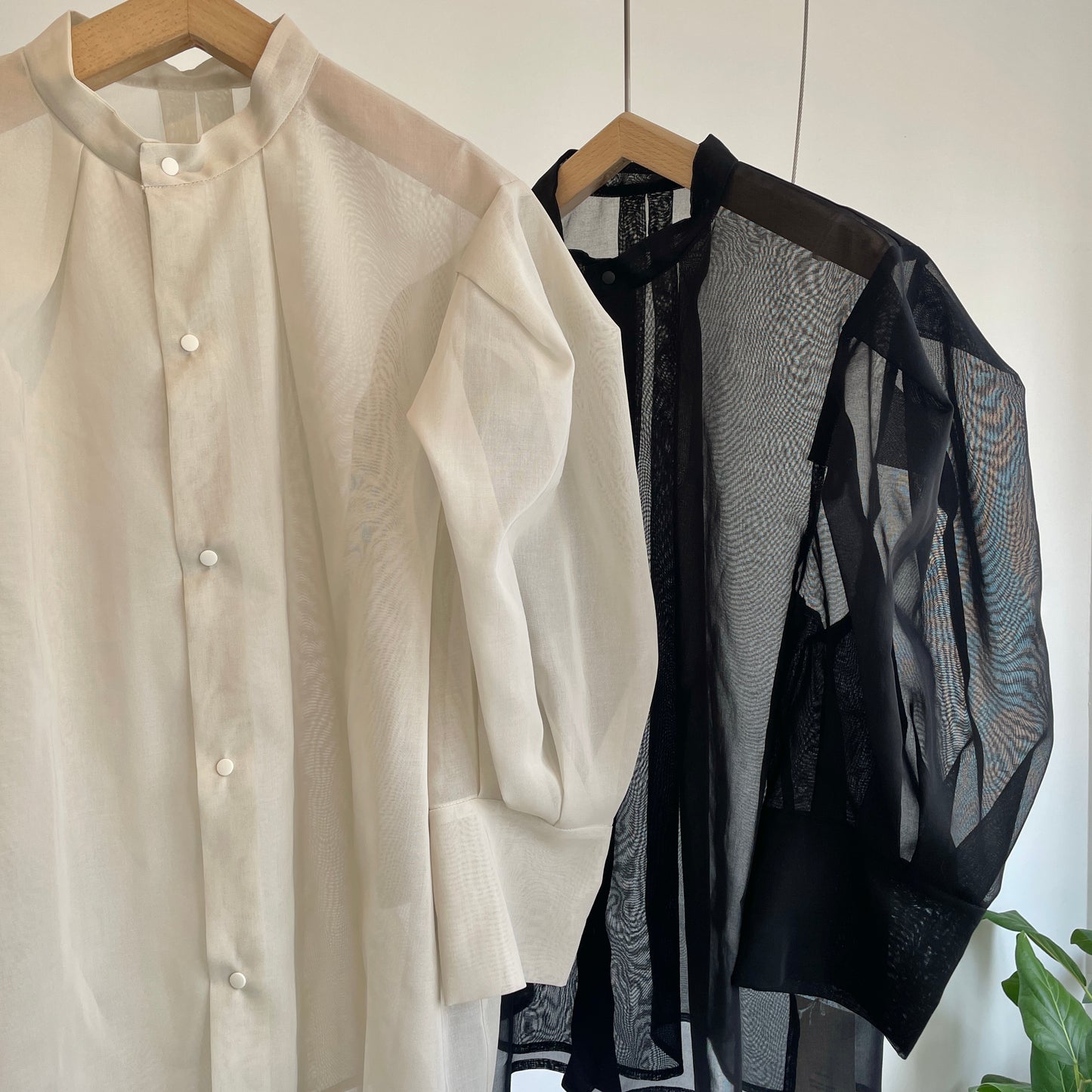 itochi //100/2 cotton organdy transparent blouse