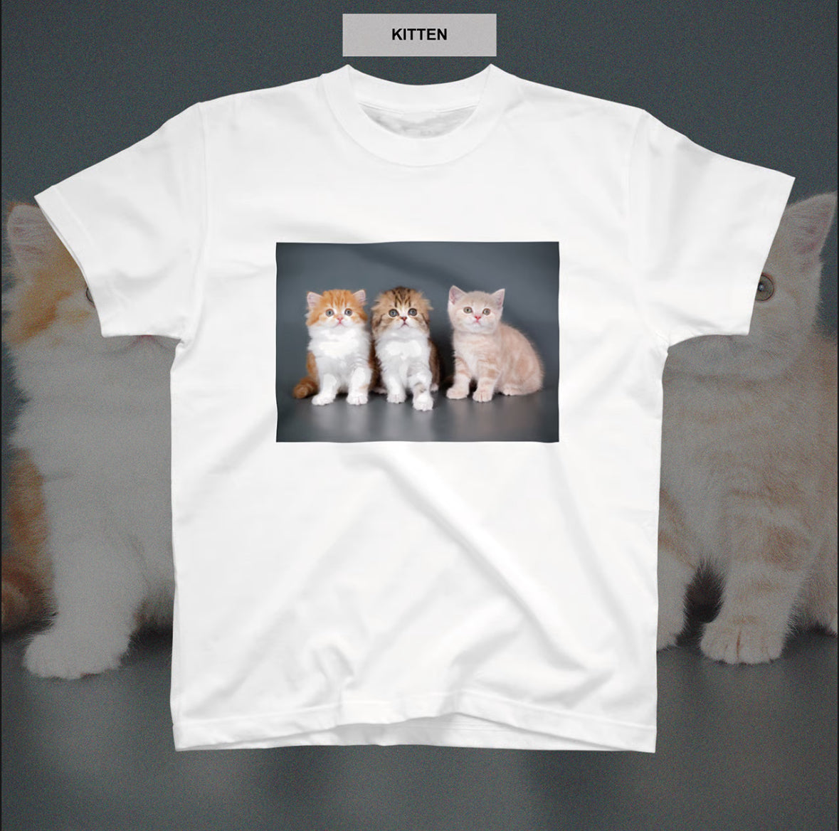 mayfool//半袖TEE KITTENS