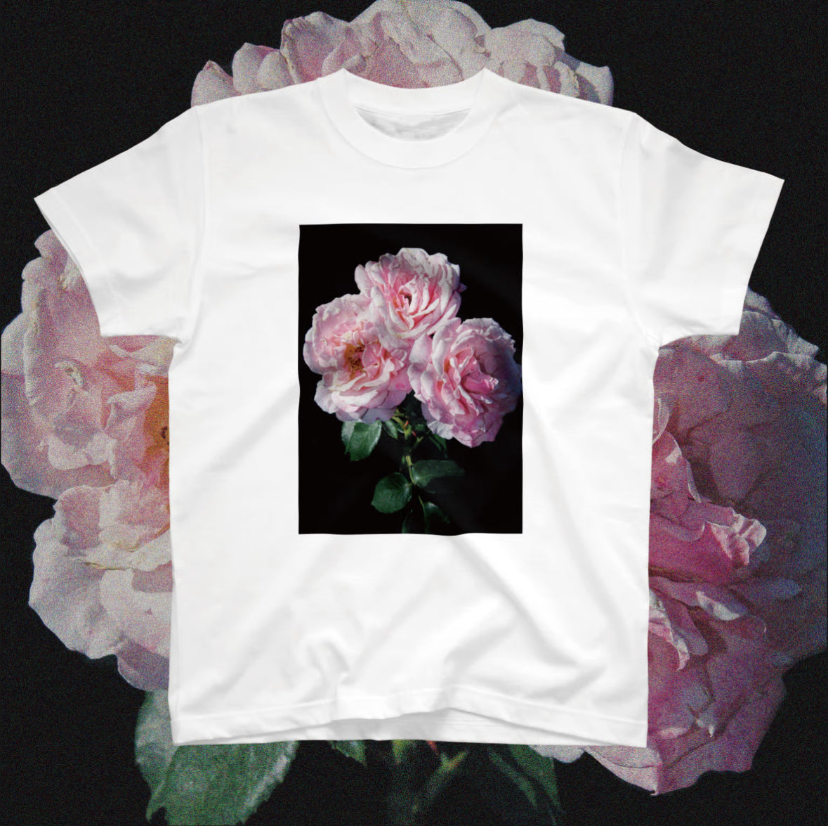 mayfool//PINKROSE半袖 Tシャツ 5-6-001