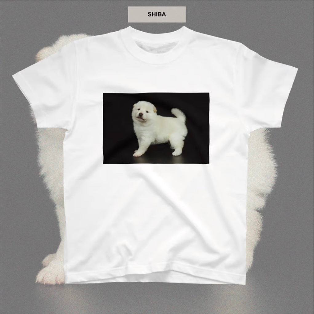mayfool//半袖TEE SHIBA
