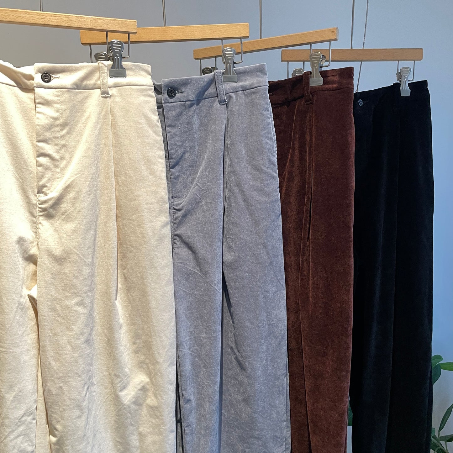 yuni //Pe/C/Rシャンブレーコールbackgum PT 1701PT003252