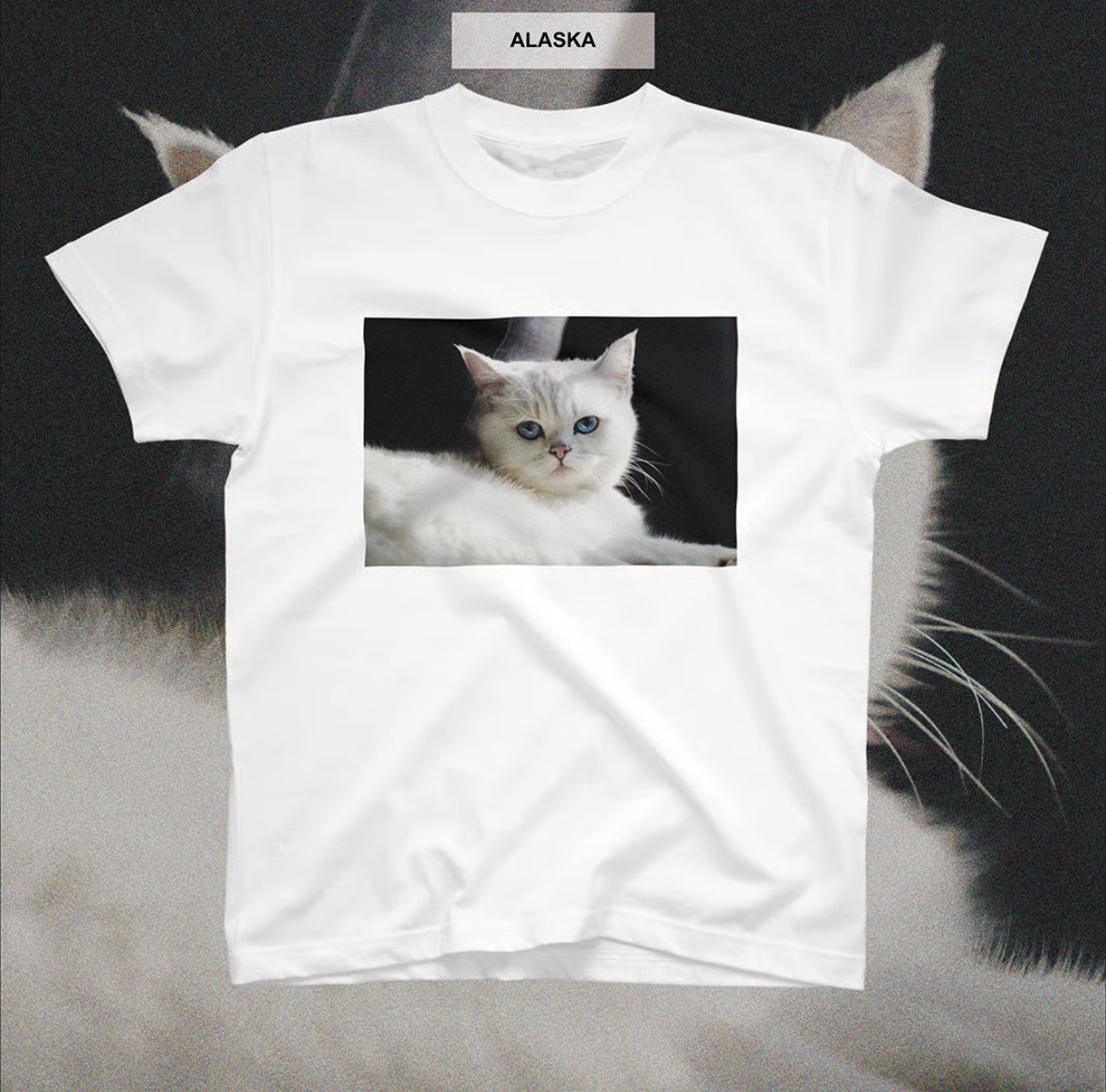 mayfool//半袖TEE ALASKA