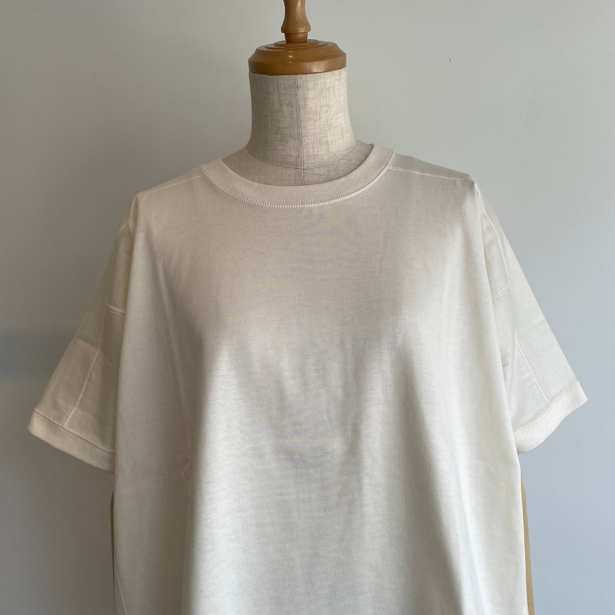 ASEEDONCLOUD【受注商品】//271805