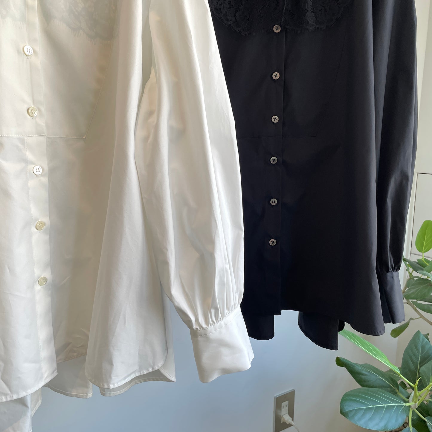 heriter//lace collar blouse
H2-26-3010