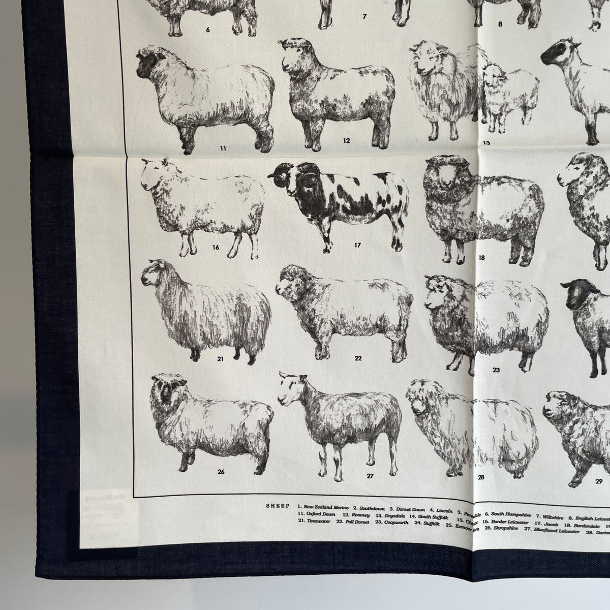 aseedoncloud//Handkerchieth/Sheep  001061