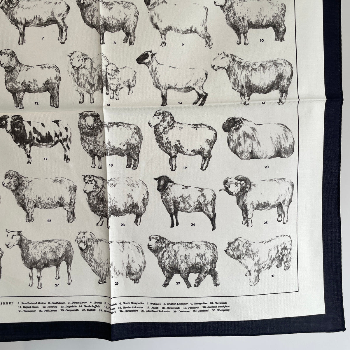 aseedoncloud//Handkerchieth/Sheep  001061