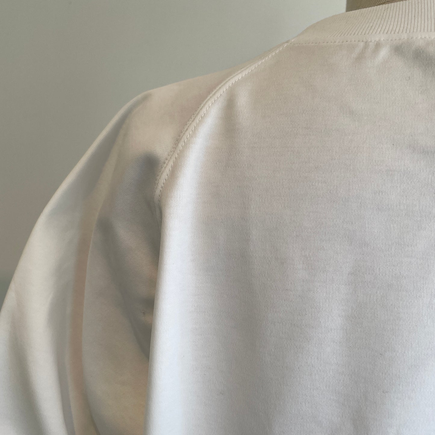 HAVERSACK //強撚スムースクルーネッククロップドラグランシャツ612601