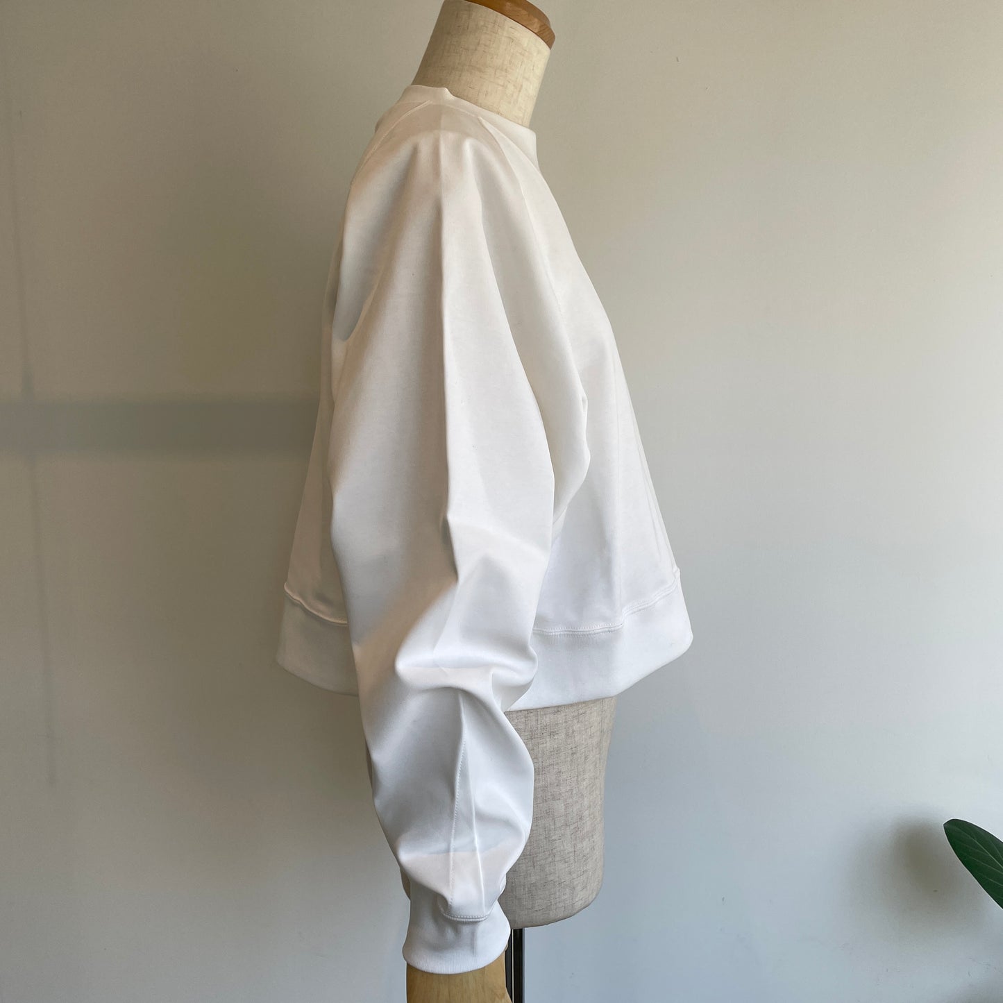 HAVERSACK //強撚スムースクルーネッククロップドラグランシャツ612601