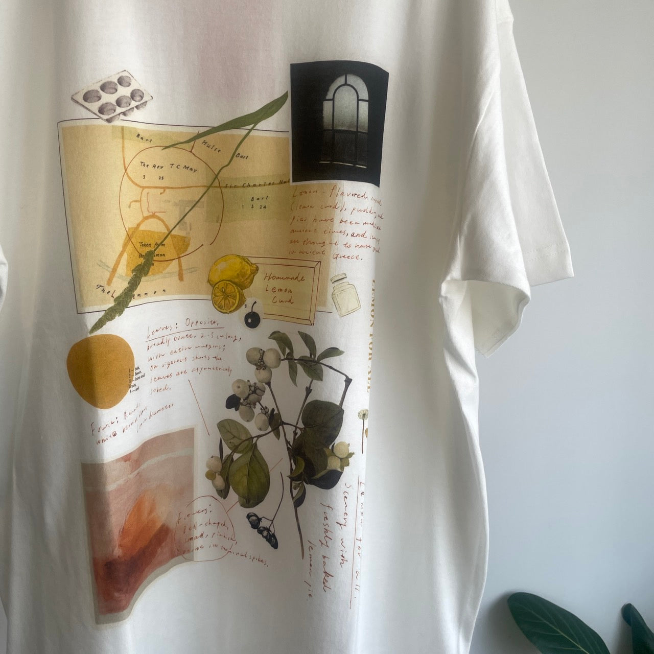 Sweet Little Nothing//LEMON 半袖Tシャツ