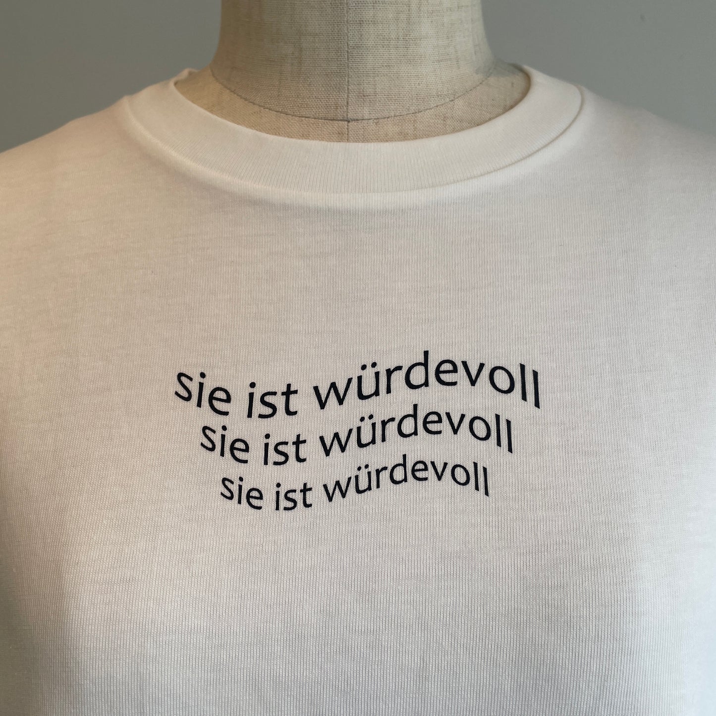 iki//ファインジャージー天竺 ウェーブロゴ Tシャツ　3101CT021261