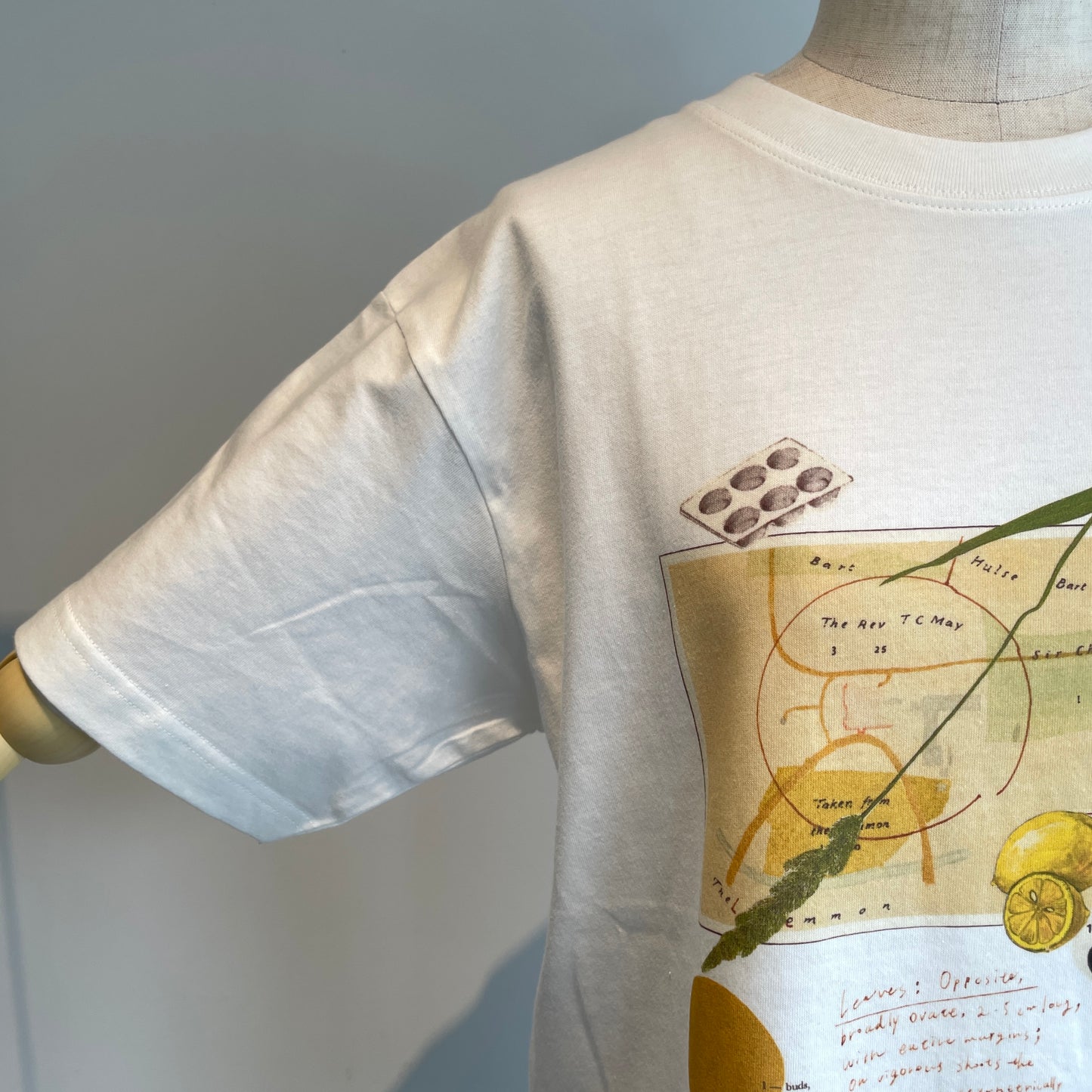 Sweet Little Nothing//LEMON 半袖Tシャツ