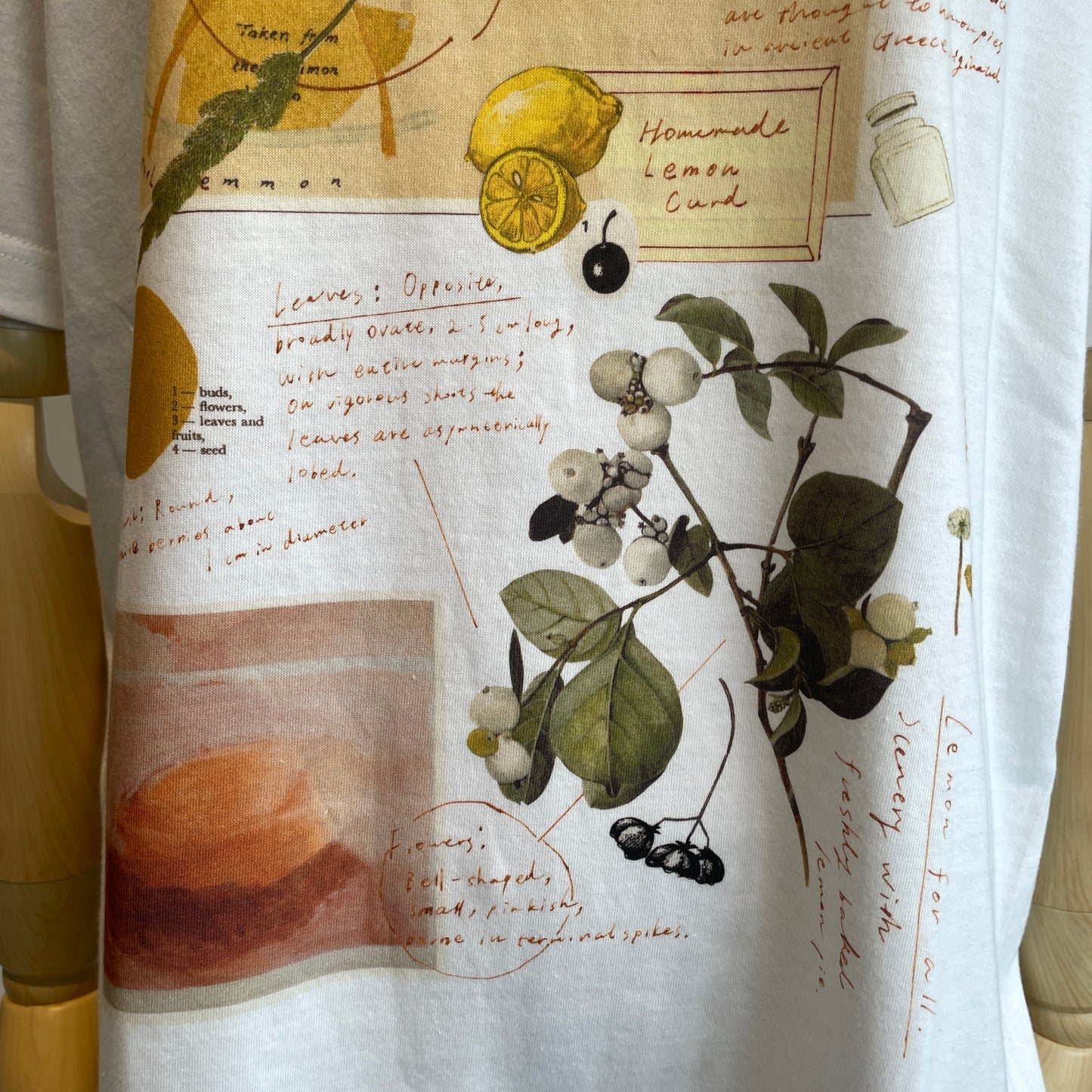 Sweet Little Nothing//LEMON 半袖Tシャツ