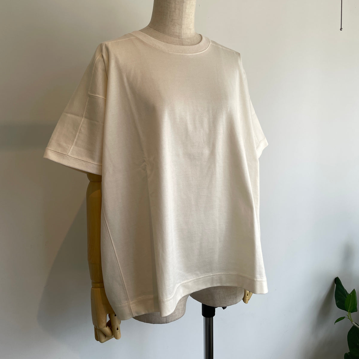 ASEEDONCLOUD【受注商品】//271805