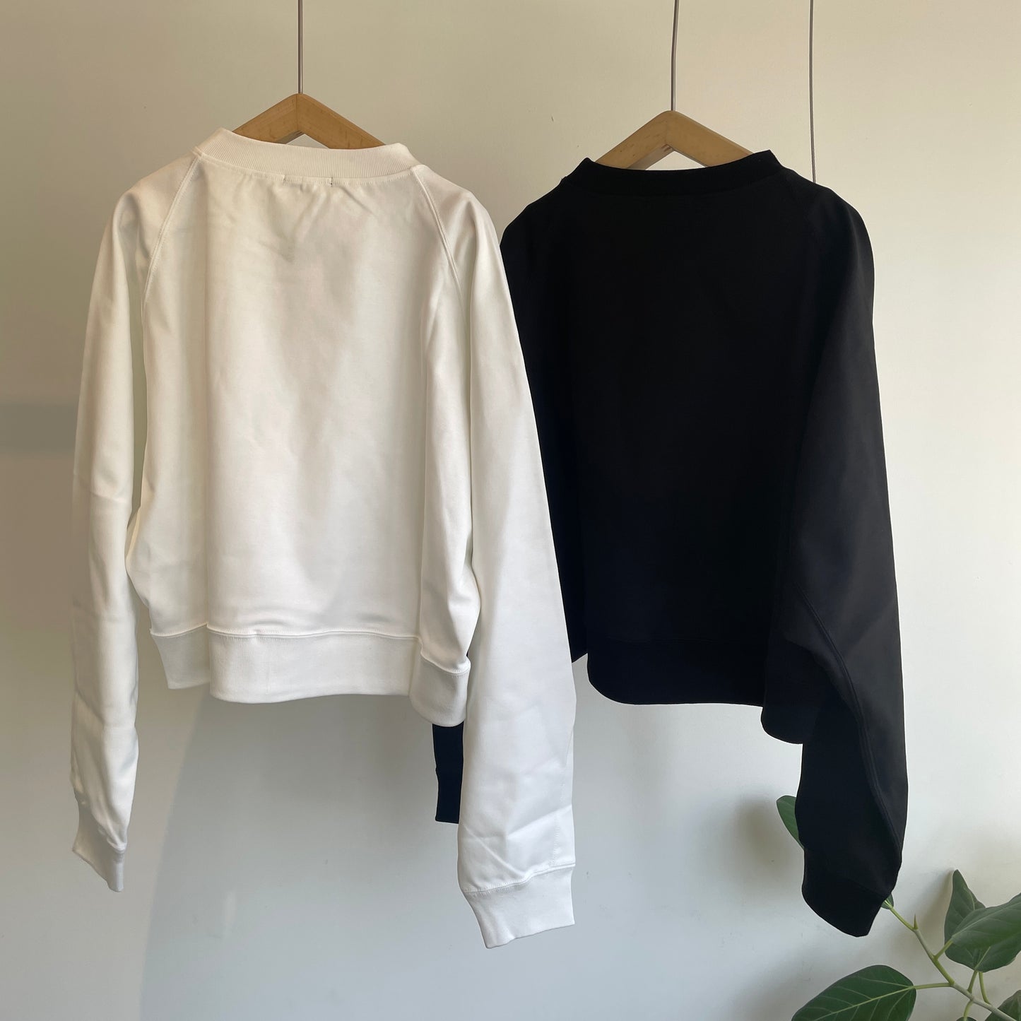 HAVERSACK //強撚スムースクルーネッククロップドラグランシャツ612601