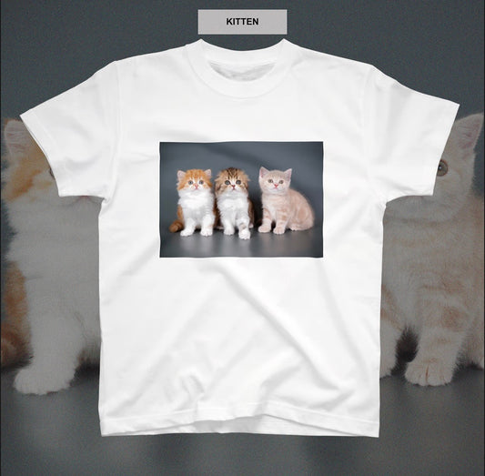 mayfool//KITTENS 半袖TEE　